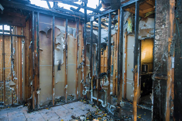 Professional Soot Cleanup technician working in Anna, OH